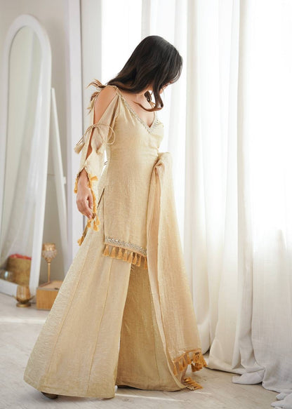 Premium Doremon Crush Mirror Work Top Palazzo Set With Dupatta