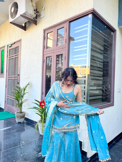 Festival Special Sharara Set