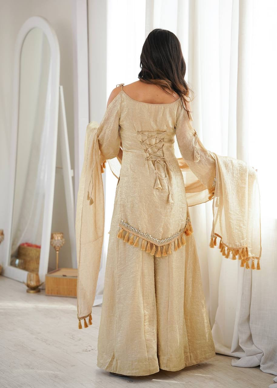 Premium Doremon Crush Mirror Work Top Palazzo Set With Dupatta
