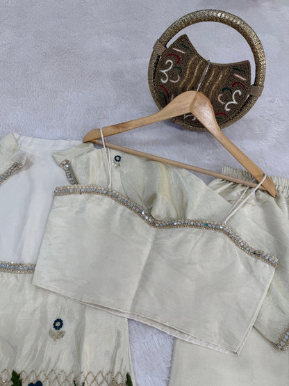 Premium Tissue Shimmer Silk Mirror Work Co-Ord Set