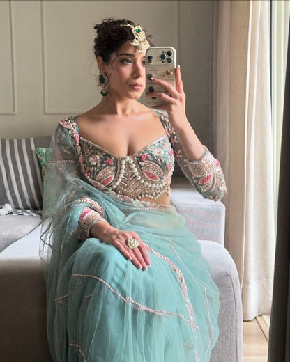 Premium Designer Embroidered Net Saree with Diamond Border