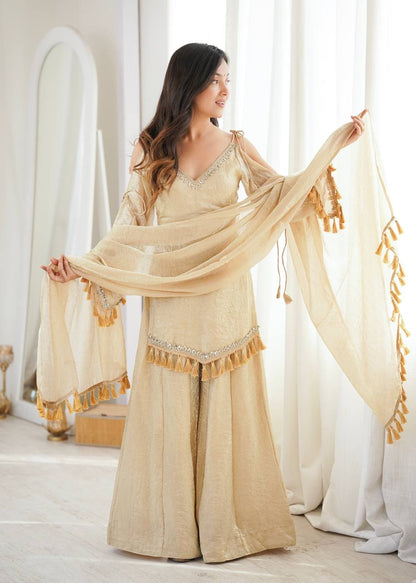 Premium Doremon Crush Mirror Work Top Palazzo Set With Dupatta